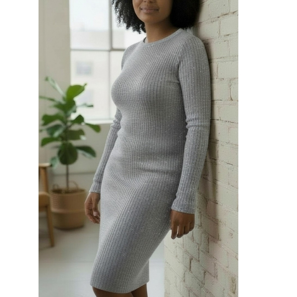 Casi Wool Shimmer Rib-Knit Sweater Dress Long Sleeve Metallic Silver NWOT